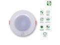 motion-sensor-concealed-light-small-1