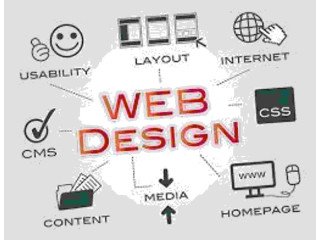 Redefine Design with Invoidea the Best Website Design Company in Delhi