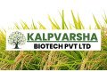 kalpvrksh-biotech-mushroom-and-compost-supplier-small-0