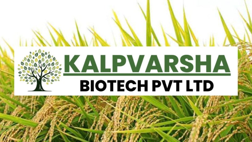 kalpvrksh-biotech-mushroom-and-compost-supplier-big-0