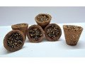 buy-cow-dung-havan-cups-online-from-jeeraya-for-spiritual-rituals-small-0