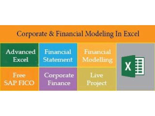 Financial Modelling Certification Course in Delhi, 110021. Best Online Live Financial Analyst Training in Indore by IIT Faculty