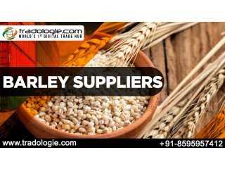Barley Suppliers