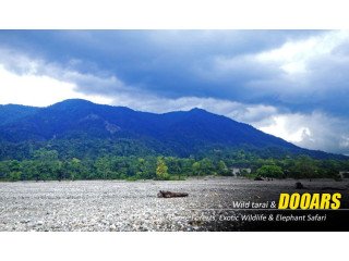 Dooars Package Tour with Jeep Safari : Experience Nature Like Never Before