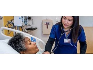 Reaching Greatness With the NURS FPX Program: An All-Inclusive Nursing Education Path