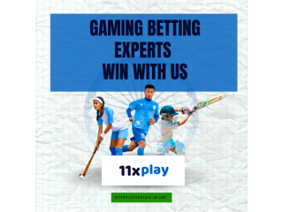 The Evolution of Online Gaming: How 11xplay is Leading the Charge