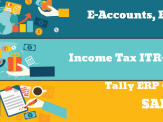income-tax-accounting-course-in-delhi-gst-and-custom-course