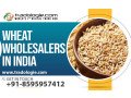 wheat-wholesalers-in-india-small-0