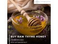 buy-raw-thyme-honey-online-at-het-honingmagazijn-for-authentic-quality-small-0