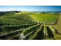 best-hawkes-bay-wine-tour-small-0