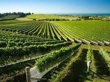 best-hawkes-bay-wine-tour