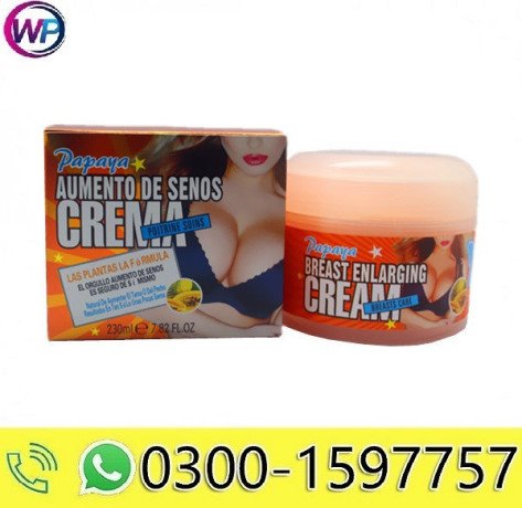 original-meizao-papaya-breast-enlarging-cream-in-khairpur-03001597757-big-0