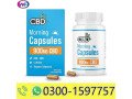 cbdfx-cbd-capsules-morning-900mg-cbd-900mg-cbg-60ct-in-rahim-yar-khan-03001597757-small-0