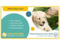 hopefordogs-canine-training-small-0