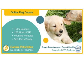 Hopefordogs Canine Training