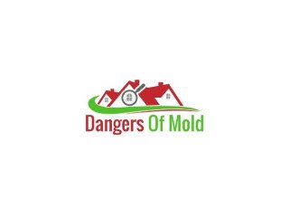 Professional Home Mold Testing Service | Dangers of Mold