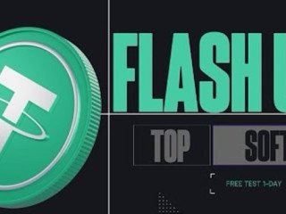 perfect-flash-usdt-generator