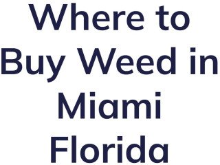 Where to Buy Weed in Miami Florida