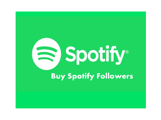 Buy 1000 Spotify Followers With Fast Delivery