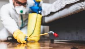 commercial-pest-control-orlando-big-0