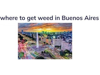 Where to Get Weed in Buenos Aires