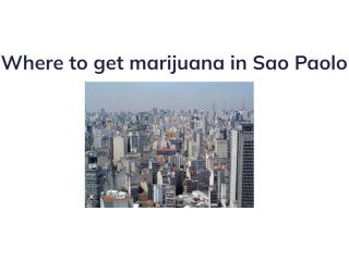 Where to Get Marijuana in Sao Paolo