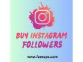 buy-instagram-followers-to-dominate-instagram-small-0