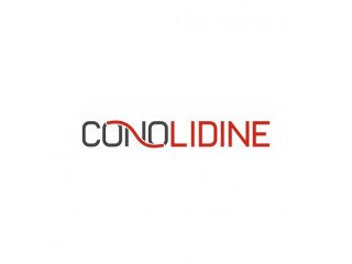 Try Conolidine: A Natural Pain Reliever For Back Pain