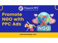 non-profit-ppc-promote-ngo-small-0