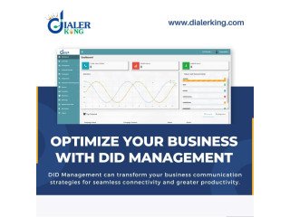 Optimize Your Business With DID Management