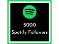why-you-buy-5000-spotify-followers-small-0