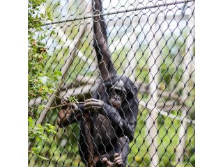 BMP: Leading the Way in Zoo Mesh and Aviary Netting Solutions.