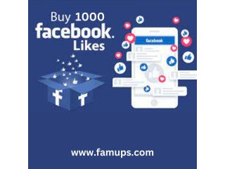 Get Genuine 1000 Facebook Likes With Famups