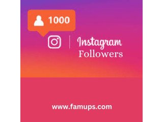 Buy 1000 Instagram Followers To Reach New Heights