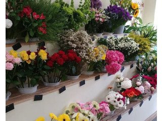 Flower Shop Cyprus