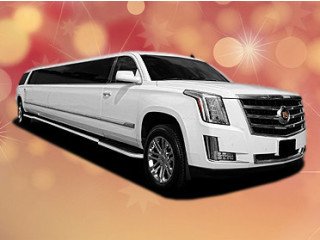 Brooklyn Affordable Party Limo Buses
