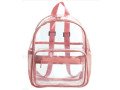 stylish-clear-mini-backpacks-usa-clear-moda-small-0