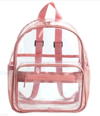 stylish-clear-mini-backpacks-usa-clear-moda-big-0