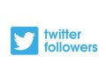 buy-active-twitter-followers-online-at-cheap-price-small-0
