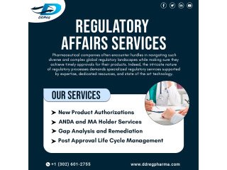 Regulatory Services in USA