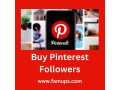 buy-pinterest-followers-from-trusted-source-famups-small-0