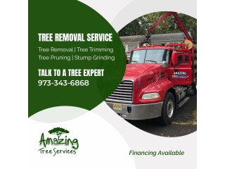 Tree Removal Service in NJ..
