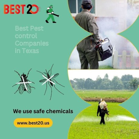 best-pest-control-companies-in-texas-big-0