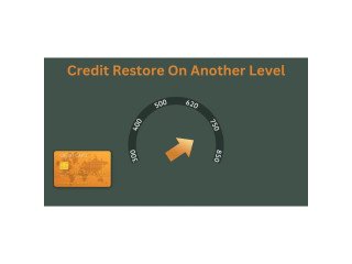 Primary Credit Tradelines