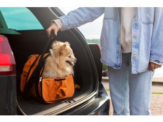 Top-Notch Pet Movers Services