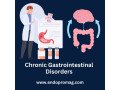 living-with-the-chronic-gastrointestinal-disorders-small-0