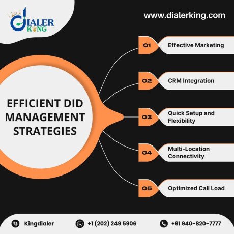 mastering-efficient-did-management-unleash-success-big-0