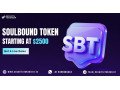 get-soulbound-token-development-from-2500-small-0