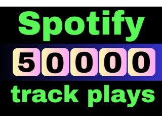 Buy 50000 Spotify Plays at a Affordable Price