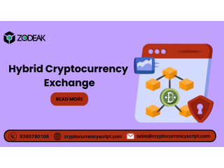 Hybrid Cryptocurrency Exchange
